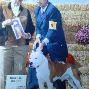 Meet your Posher, Cole